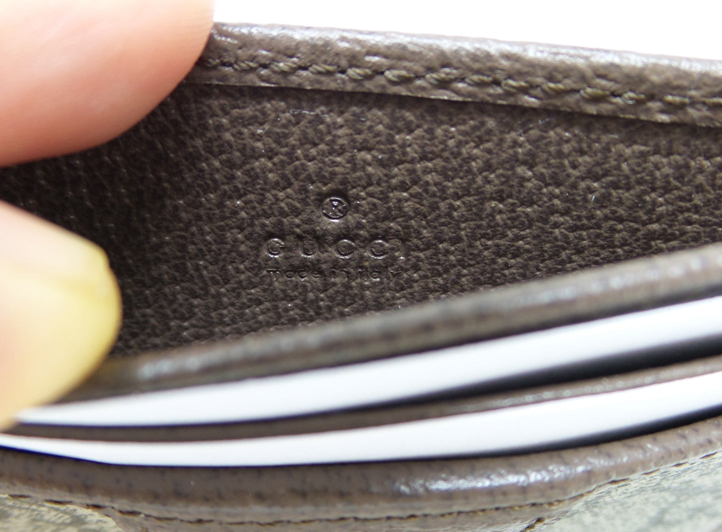 Unisex Ophidia Card Case